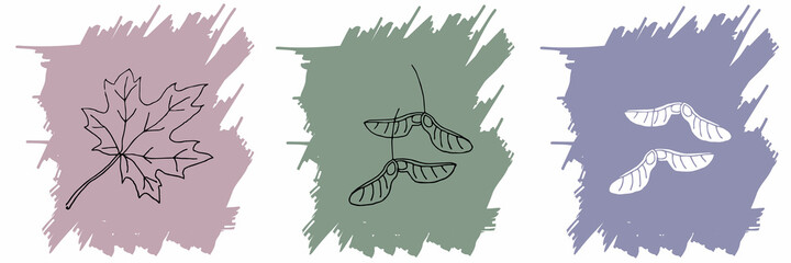 vector minimalist style  drawing  maple leaf. Minimal art leaves isolated on spots., Hand drawn abstract print. Modern decor. EPS 10. Logo, postcard, banner.