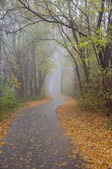 Obraz premium Aachen vennbahnweg im Herbst