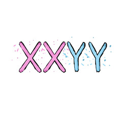xxyy karyotype (colored)