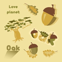 Vector stickers on the theme of nature. Image of acorns and oak. Autumn stickers. Vector image.	