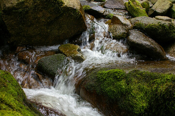 River passing through rocks in a green forrest