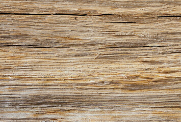 Fototapeta premium Wooden background - view of the sawn wood. Horizontal background with space for text