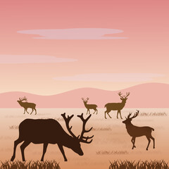 Fototapeta na wymiar herd of deer