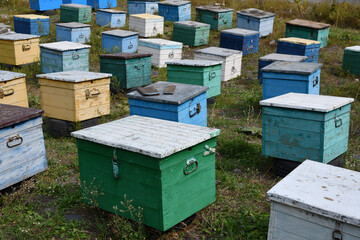 Wooden beehives. Caucasus mountains, Chechen Republic. Russia.
