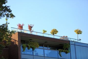 Obraz premium Ogród na dachu współczesnego budynku.