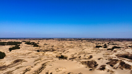 Fototapeta na wymiar View of the sandy massif in Oleshkovsky Sands. Desert panorama with yellow sand and dry vegetation. Ukraine. Europe