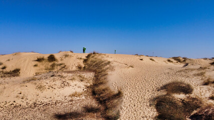 Obraz na płótnie Canvas View of the sandy massif in Oleshkovsky Sands. Desert panorama with yellow sand and dry vegetation. Ukraine. Europe