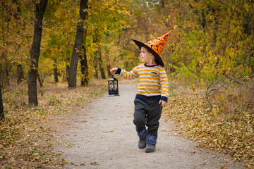 A preschool boy walks with a lantern in the Halloween autumn forest