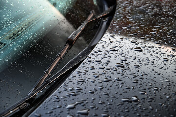 rain drops on car windshield and hood - obrazy, fototapety, plakaty