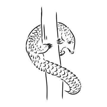 pangolin climbing tree black and white clip art preview