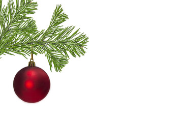 red christmas ball on a branch. Christmas tree branch with red bauble decoration. New Year Christmas background concept. Minimal creative layout.