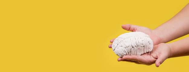 panorámica de las manos de una persona con un cerebro en sus manos en fondo amarillo
