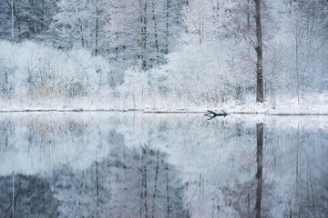 Winter landscape with a pond.