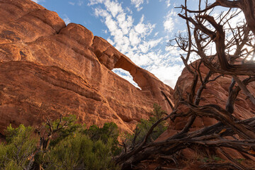 Beautiful desert landscape of Arches National Park in the American Southwest, Utah