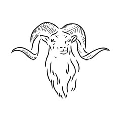 Large goat horns screwed shape from back, sketch vector drawing in graphic style on white background