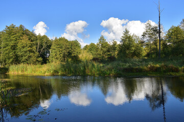 Fototapeta na wymiar River, trees, sky and clouds reflecting in the water on a calm day. Relaxation. Rest.