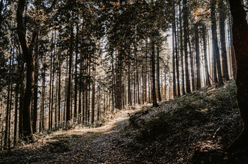 Promenade automnale dans l'eifel