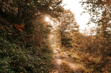 Promenade automnale dans l'eifel