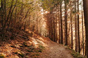 Promenade automnale dans l'eifel