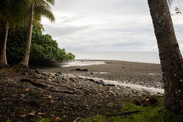 Fototapeta na wymiar beach gorgona colombia