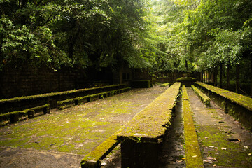 jail gorgona colombia 