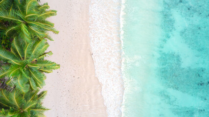 Traumstrand mit Palmen und türkisblauem Wasser von oben - Luftaufname mit der Drohne am Strand Baie Lazare auf der Insel Mahé auf La Digue auf den Seychellen
