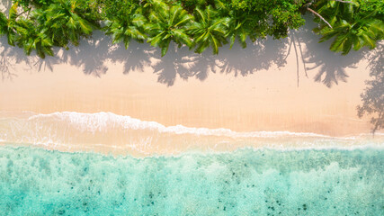 Traumstrand mit Palmen und türkisblauem Wasser von oben - Luftaufname mit der Drohne am Strand Baie Lazare auf der Insel Mahé auf La Digue auf den Seychellen