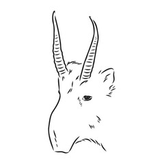 vector silhouette saiga on white background saiga animal vector