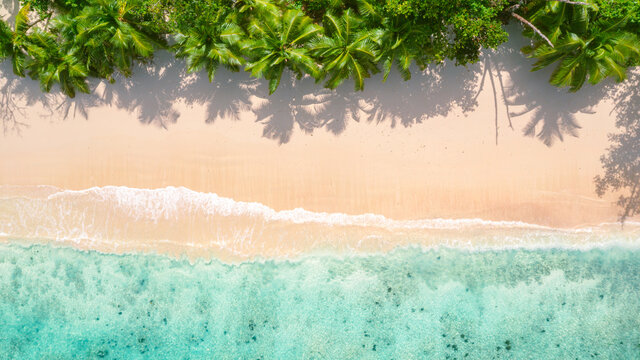 Traumstrand mit Palmen und t&uuml;rkisblauem Wasser von oben - Luftaufname mit der Drohne am Strand Baie Lazare auf der Insel Mah&eacute; auf La Digue auf den Seychellen