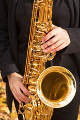 Obraz premium The girl musician plays the saxophone. Close-up of a golden saxophone on a background of yellow leaves.