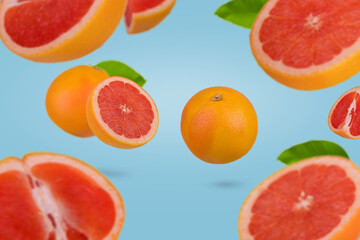 Creative idea with fresh grapefruit sliced on trendy blue background. Minimal fruit concept.