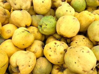 Quinces piled up already ripe