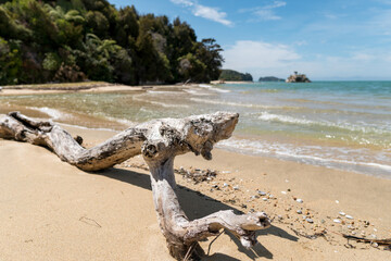 Beach of Abel Tasman National Park