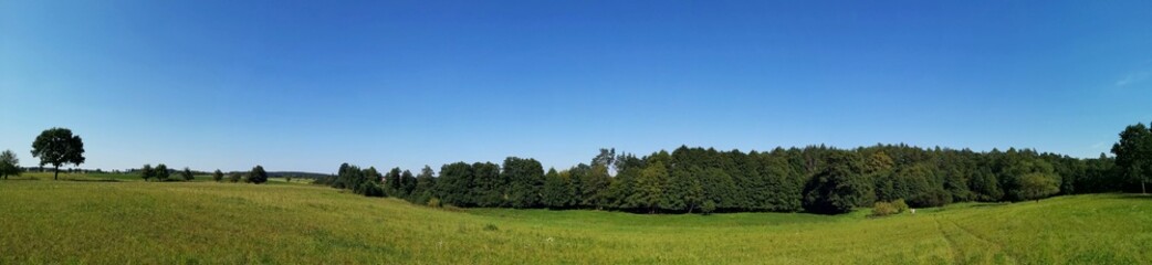 Fototapeta na wymiar Panorama pola z lasem