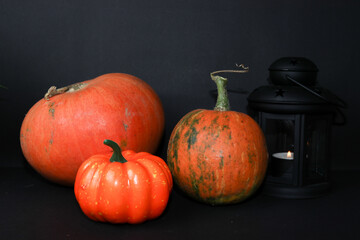 Red pumpkins with candles isolated on a black background. Preparation for Halloween