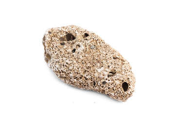 Sea pebble stone isolated on the white background.