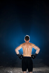 The boxer