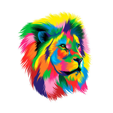 Lion head portrait from multicolored paints. Splash of watercolor, colored drawing, realistic. Vector illustration of paints