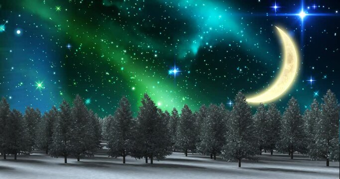 Animation of winter landscape with trees, moon and sky at christmas
