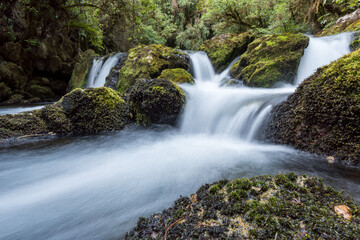 Obraz premium The Riuwaka Resurgence in Kahurangi National Park, New Zealand