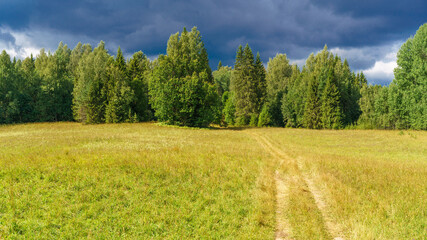 Beautiful natural landscape. Green forest on a background of blue sky and white clouds. A clear sunny summer day at the edge of the forest. The road to the forest.
