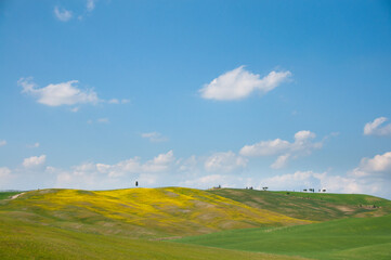 field and blue sky