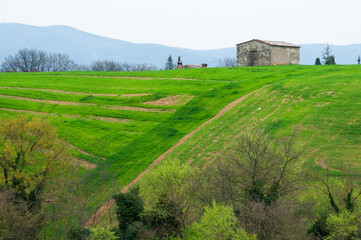 Fototapeta na wymiar landscape in tuscany