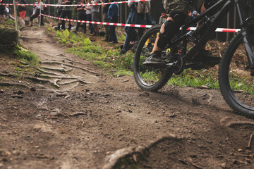 mountainbike race driver on black bike raises dust cycling over a root passage of a secured race...