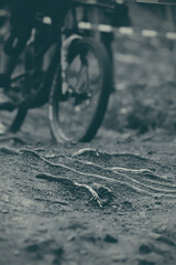 monochrome closeup on secured race track with root passage ridden by mountainbike race driver in...