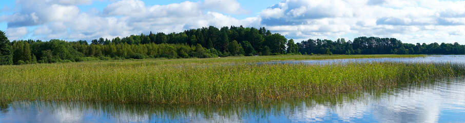 A large lake with grassy shores. The shores of the lake were overgrown with reeds. Panoramic view.
