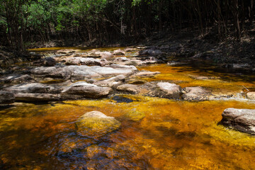 Naklejka na ściany i meble Stream of clean red water that only exists in the Amazon rainforest
