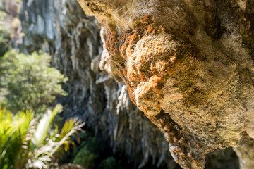 Rawhiti Cave - Abel Tasman National Park, New Zealand