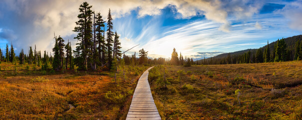 Hiking trail outdoors in Canadian nature. Sunny Sunset Fall Season. Taken in Garibaldi Provincial...