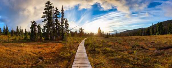Hiking trail outdoors in Canadian nature. Sunny Sunset Fall Season. Taken in Garibaldi Provincial Park, located near Whistler and Squamish, North of Vancouver, BC, Canada.